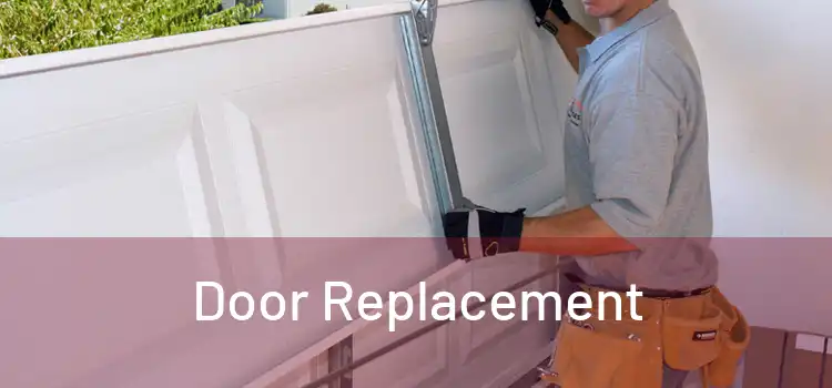 Door Replacement 
